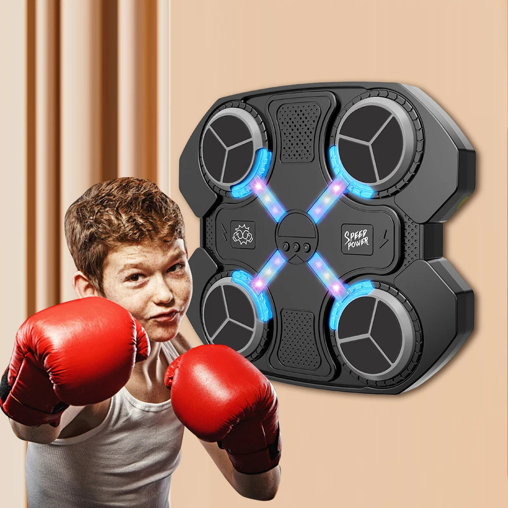Boxing Wall Target